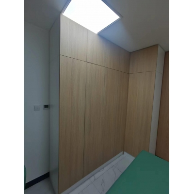 定制資料柜 儲物柜